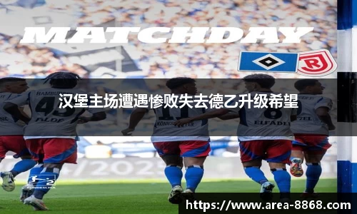 汉堡主场遭遇惨败失去德乙升级希望